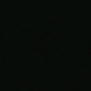 Meet your Posher, Chad